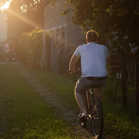 Cyprysovnia * Gniezdzewo